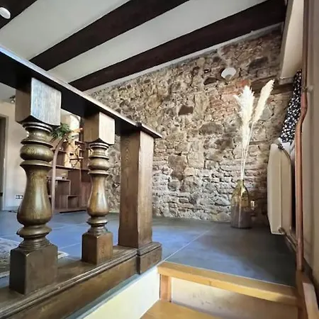Appartement Escapade Fleurie - Petite Venise - 2 Voyageurs Colmar