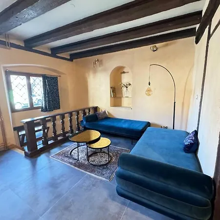 Appartement Escapade Fleurie - Petite Venise - 2 Voyageurs Colmar